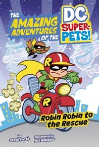Enlarge image Cover: Robin Robin to the Rescue - Capstone Press
