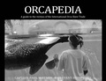 Cover: Orcapedia - Book Publishing Company