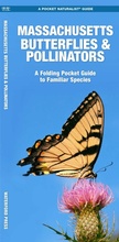 Cover: Massachusetts Butterflies & Pollinators - Waterford Press Ltd