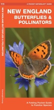 Cover: New England Butterflies & Pollinators - Waterford Press Ltd