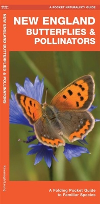 Enlarge image Cover: New England Butterflies & Pollinators - Waterford Press Ltd