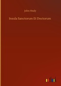 Cover: Insula Sanctorum Et Doctorum - Outlook Verlag