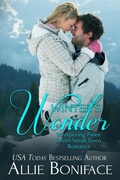 Cover: Winter's Wonder - DFM Publishing