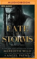 Cover: Fate of Storms - Brilliance Audio