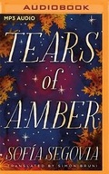 Cover: Tears of Amber - Brilliance Audio