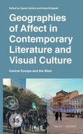 Cover: Geographies of Affect in Contemporary Literature and Visual Culture - Brill