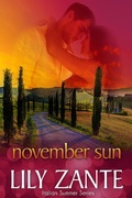 Cover: November Sun (Italian Summer, #5) - Lily Zante