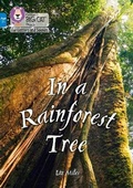 Cover: In a Rainforest Tree - Collins
