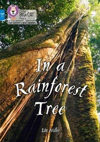 Enlarge image Cover: In a Rainforest Tree - Collins