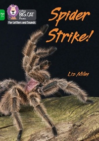 Enlarge image Cover: Spider Strike! - Collins