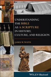 Enlarge image Cover: Understanding the Bible as a Scripture in History, Culture, and Religion - Wiley