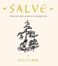 Enlarge image Cover: Salve - Matador