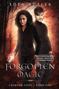 Cover: Forgotten Magic - City Owl Press