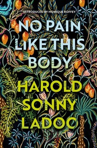 Abbildung von: No Pain Like This Body - Vintage Classics