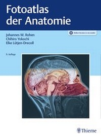 Abbildung von: Fotoatlas der Anatomie - Thieme