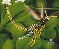 Cover: La Odisea de Polistes - Oceano Historias Graficas