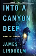 Cover: Into A Canyon Deep - CamCat Publishing, LLC