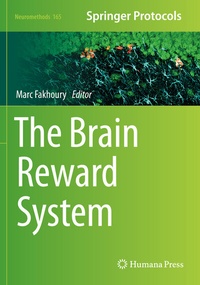 Abbildung von: The Brain Reward System - Springer