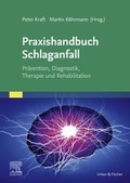 Cover: Praxishandbuch Schlaganfall - Urban & Fischer