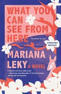Cover: What You Can See from Here - Farrar, Straus and Giroux