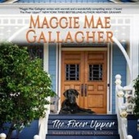 Enlarge image Cover: The Fixer Upper - Silverton Agency