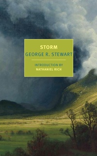 Enlarge image Cover: Storm - New York Review Books