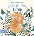 Cover: Goodnight, Little Bunny - Magic Cat Publishing