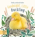 Cover: Goodnight, Little Duckling - Magic Cat Publishing