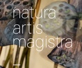 Cover: Natura Artis Magistra. Naturmaterialien in der zeitgen&ouml;ssischen Kunst - Wienand