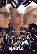 Cover: Frumuse&iquest;ea lucrurilor sparte - Litera Media Group