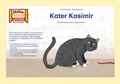 Cover: Kater Kasimir / Kamishibai Bildkarten - Hase und Igel Verlag