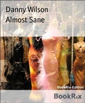 Cover: Almost Sane - BookRix