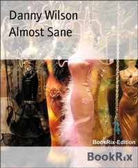 Enlarge image Cover: Almost Sane - BookRix