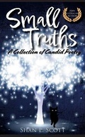 Cover: Small Truths - Shan L Scott