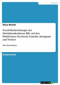 Abbildung von: Social-Media-Strategie der Direktkrankenkasse BIG auf den Plattformen Facebook, Youtube, Instagram und Twitter - GRIN Verlag