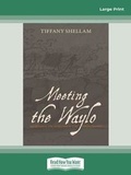 Cover: Meeting the Waylo - ReadHowYouWant