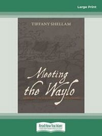 Enlarge image Cover: Meeting the Waylo - ReadHowYouWant