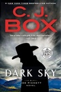 Cover: Dark Sky - Random House Large Print