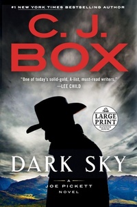 Enlarge image Cover: Dark Sky - Random House Large Print