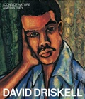 Cover: David Driskell - Rizzoli International Publications