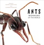 Cover: Ants: Workers of the World - Abrams