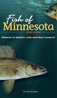 Enlarge image Cover: Fish of Minnesota Field Guide - Adventure Publications, Incorporated