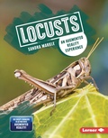 Cover: Locusts - Lerner Publications Co ,U.S.