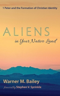 Enlarge image Cover: Aliens in Your Native Land - Wipf & Stock Publishers