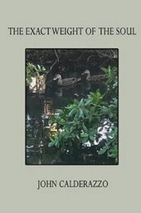 Enlarge image Cover: The Exact Weight of the Soul - Red Mountain Press