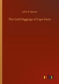 Cover: The Gold Diggings of Cape Horn - Outlook Verlag