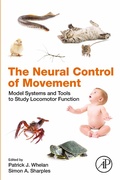 Abbildung von: The Neural Control of Movement - Academic Press