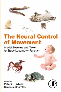 Abbildung von: The Neural Control of Movement - Academic Press