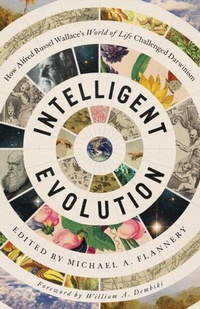Enlarge image Cover: Intelligent Evolution - Distributed By Ingram Spark