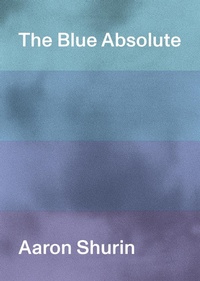 Enlarge image Cover: The Blue Absolute - Nightboat Books